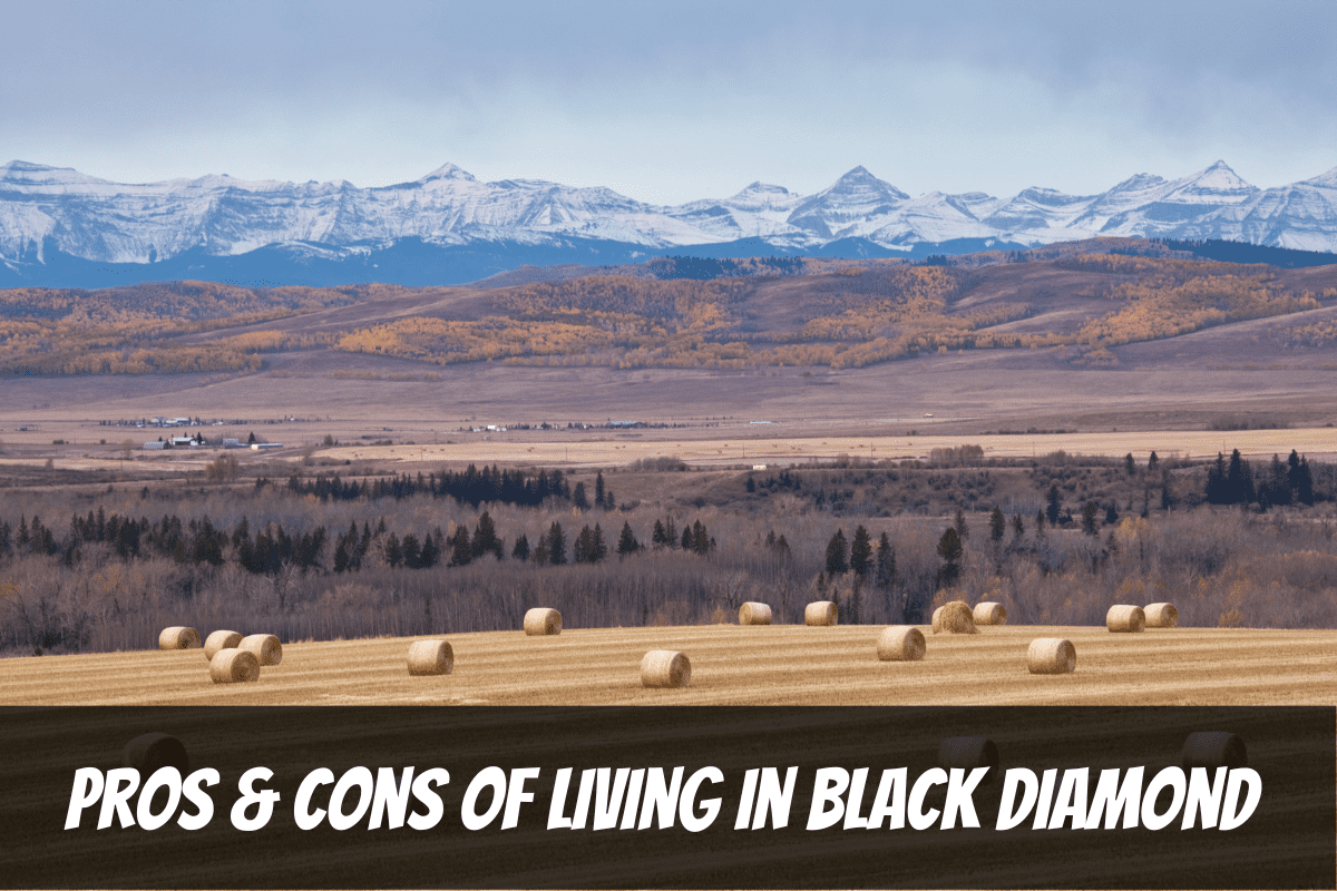 Una vista otoñal de las estribaciones de las Montañas Rocosas y los pros y los contras de vivir en Black Diamond Alberta, Canadá