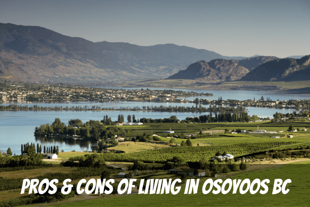 Beautiful View Across Osoyoos Town And Lake In Summer With Ripe Vines As An Example For The Pros And Cons Of Living In Osoyoos