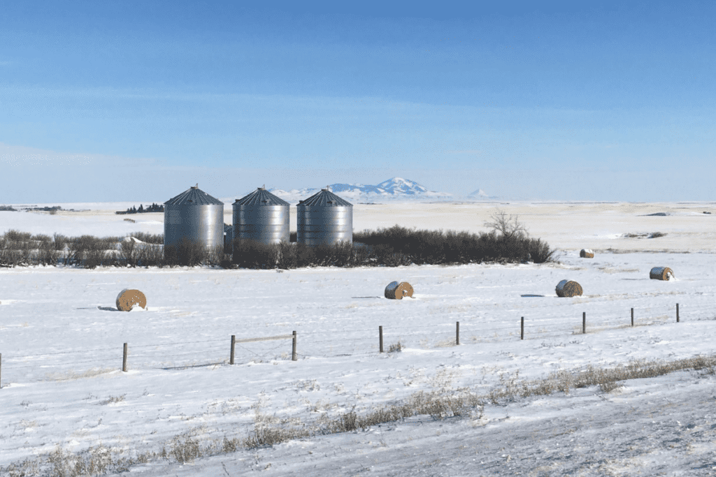 Un paisaje de pradera invernal con tres grandes silos de grano metálico y fardos de heno en primer plano situado al sur de los mejores barrios de Lethbridge Alberta Canadá
